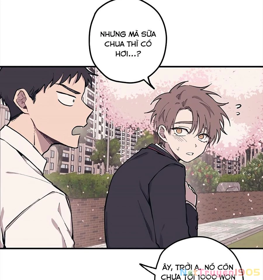 Sự Ngây Thơ Của Yeon Woo Chapter 2 - Trang 2