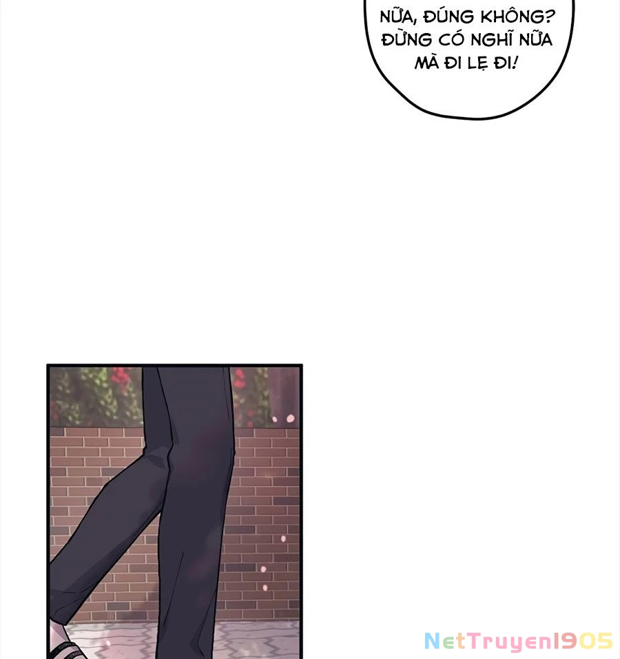 Sự Ngây Thơ Của Yeon Woo Chapter 2 - Trang 2