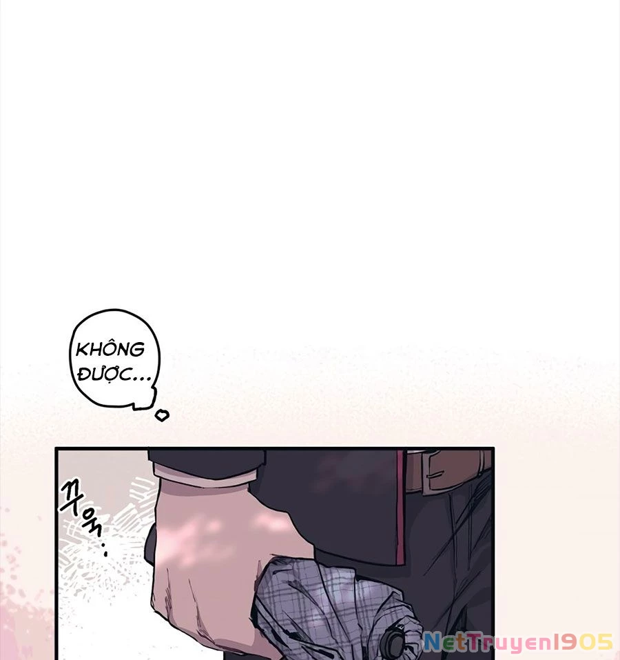 Sự Ngây Thơ Của Yeon Woo Chapter 2 - Trang 2