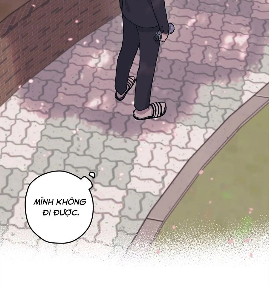 Sự Ngây Thơ Của Yeon Woo Chapter 2 - Trang 2