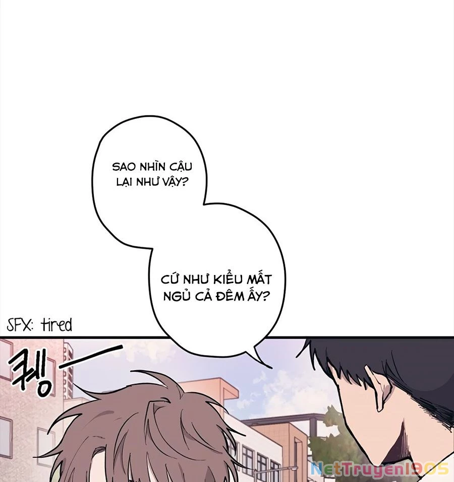 Sự Ngây Thơ Của Yeon Woo Chapter 2 - Trang 2