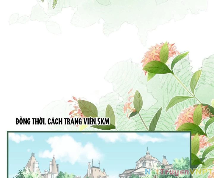 Sự Phản Công Của Nữ Công Tước Phản Diện Chapter 87 - Trang 2