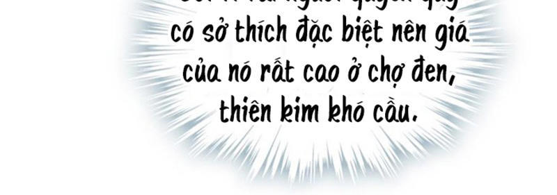 Sư Phụ Lại Trêu Chọc Ta Chapter 31 - Trang 2