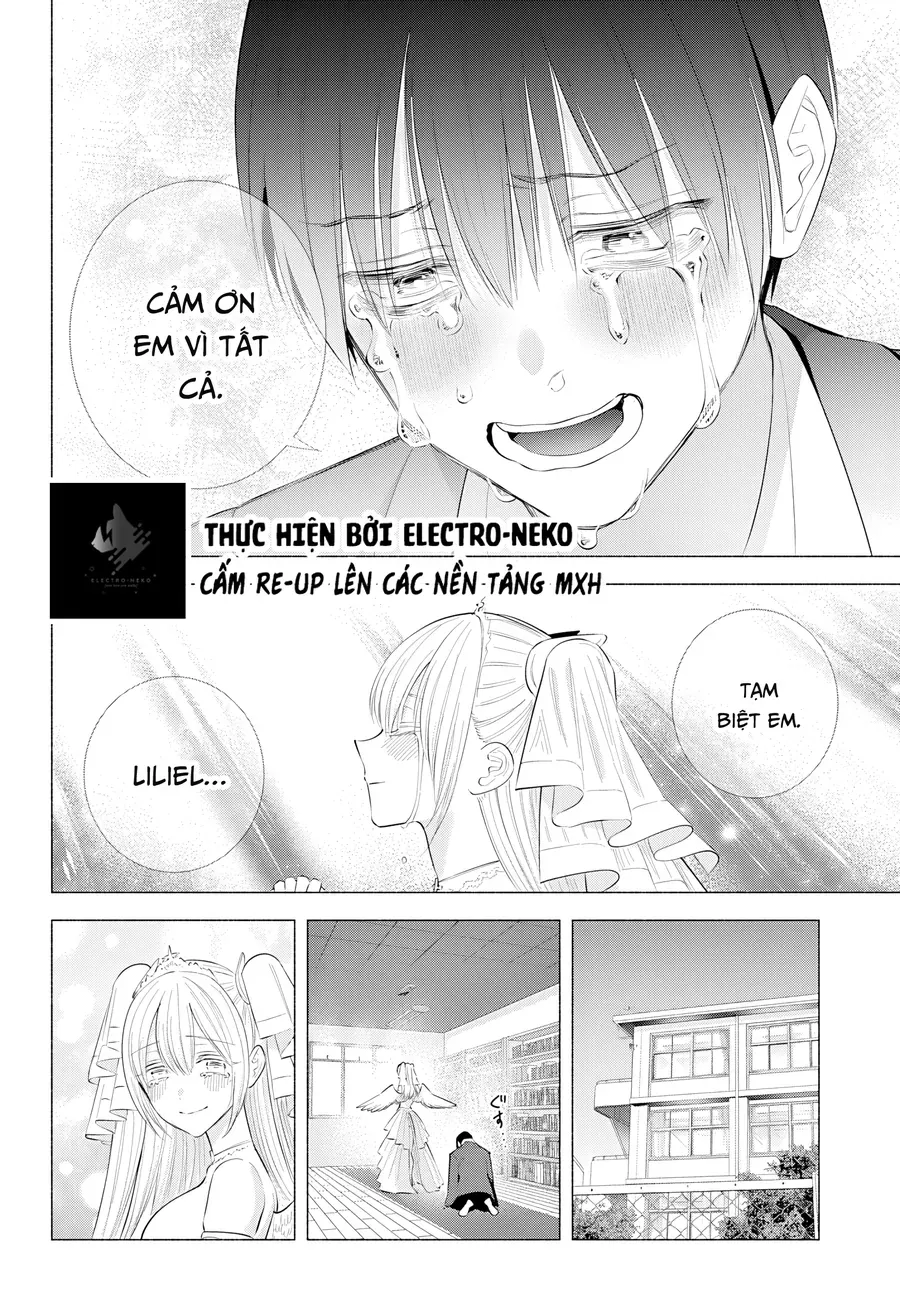 Sự Quyến Rũ Của 2.5D Chapter 199 - Trang 2