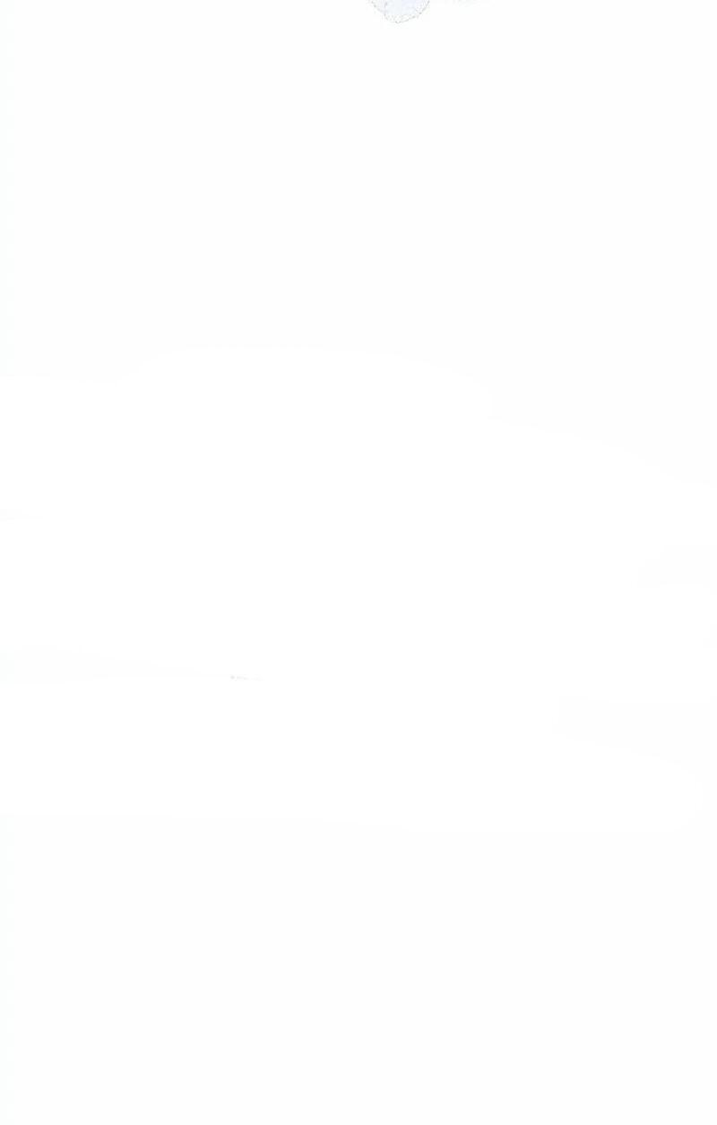 Sự Quyến Rũ Của Người Vợ Chapter 3 - Trang 2