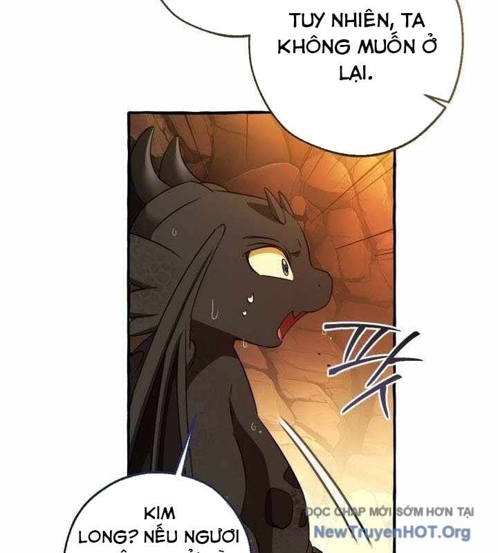 Sự Ra Đời Của Một Anh Hùng Chapter 153 - Trang 2