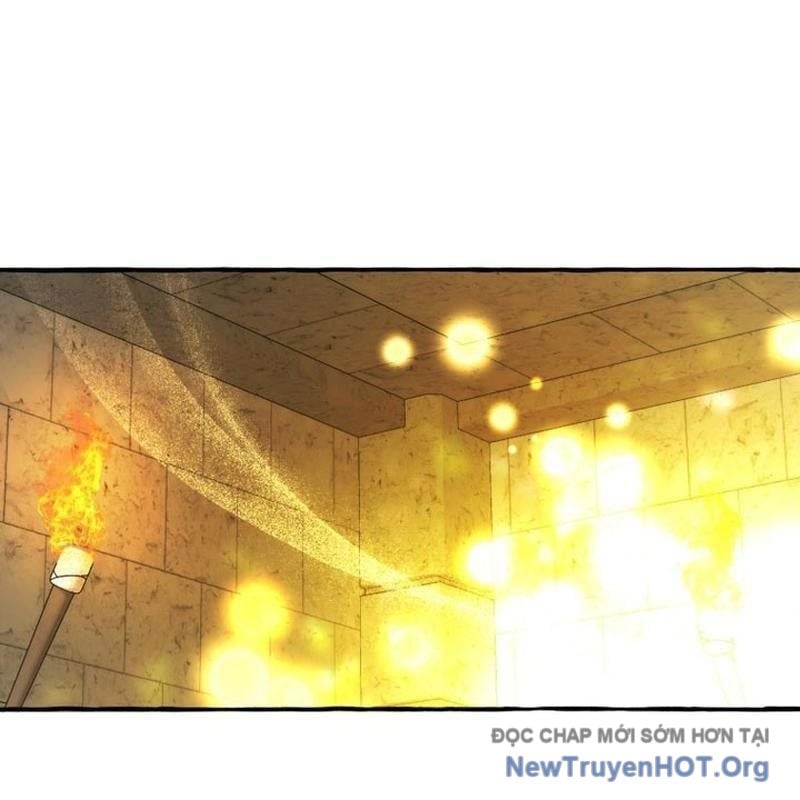 Sự Ra Đời Của Một Anh Hùng Chapter 155 - Trang 2