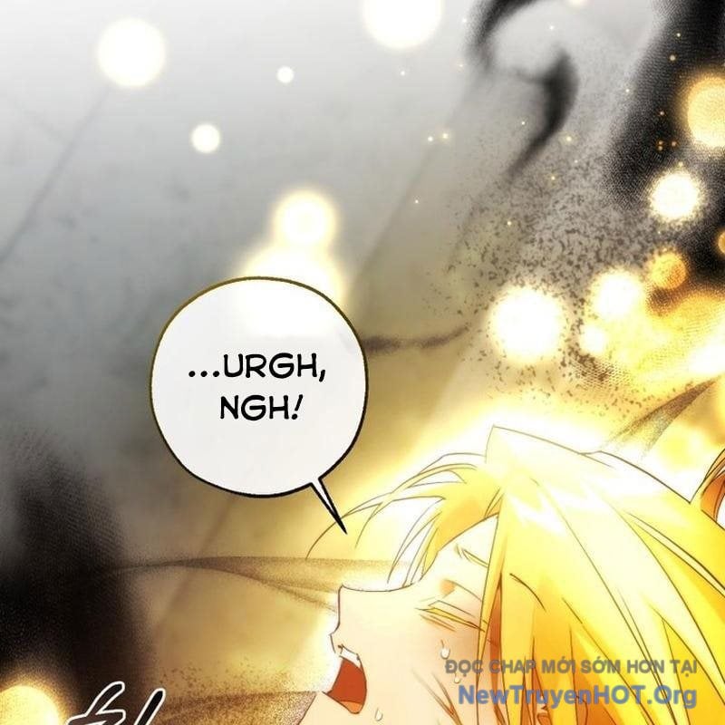 Sự Ra Đời Của Một Anh Hùng Chapter 155 - Trang 2