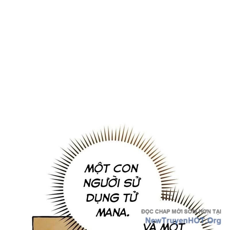 Sự Ra Đời Của Một Anh Hùng Chapter 155 - Trang 2