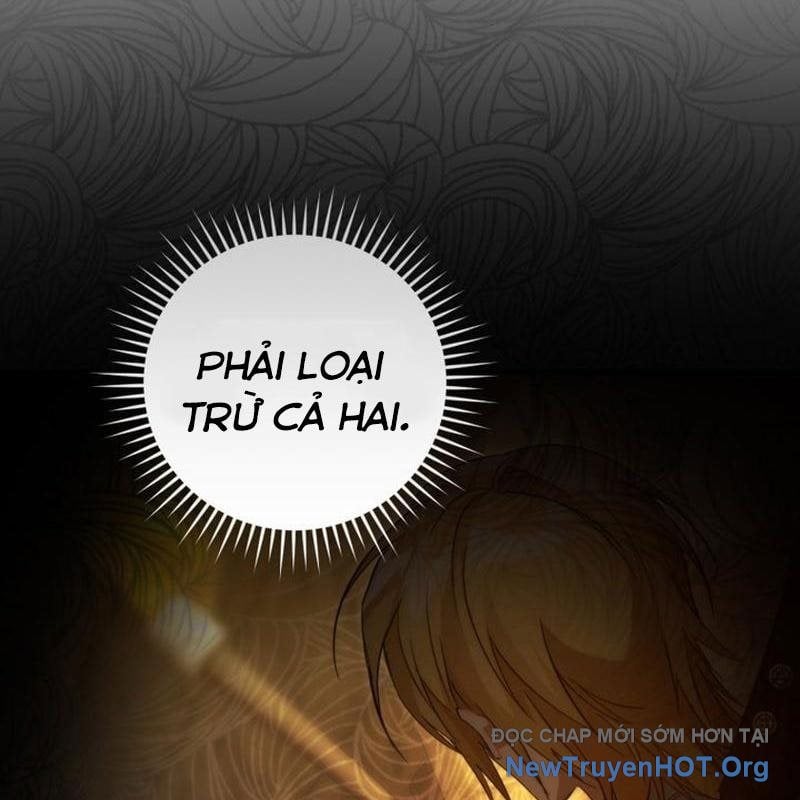 Sự Ra Đời Của Một Anh Hùng Chapter 155 - Trang 2