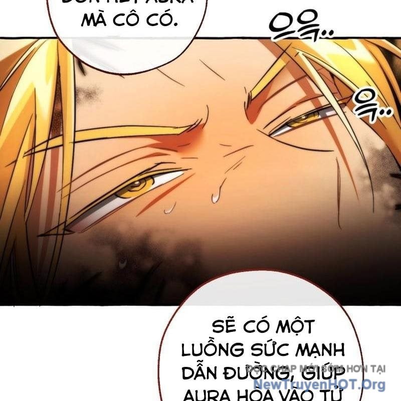 Sự Ra Đời Của Một Anh Hùng Chapter 155 - Trang 2