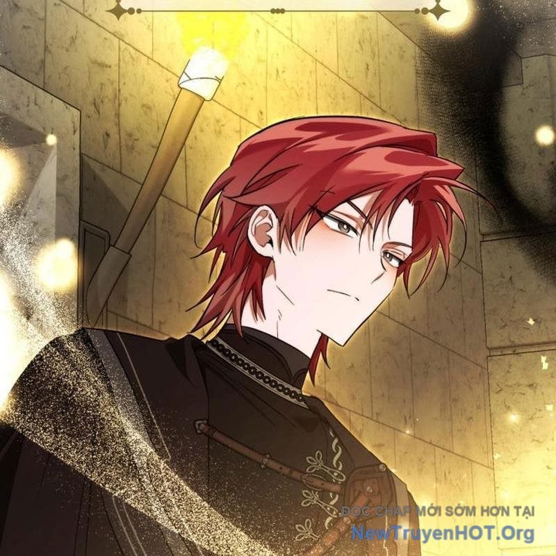 Sự Ra Đời Của Một Anh Hùng Chapter 155 - Trang 2