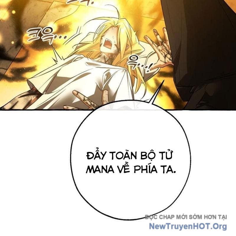 Sự Ra Đời Của Một Anh Hùng Chapter 155 - Trang 2