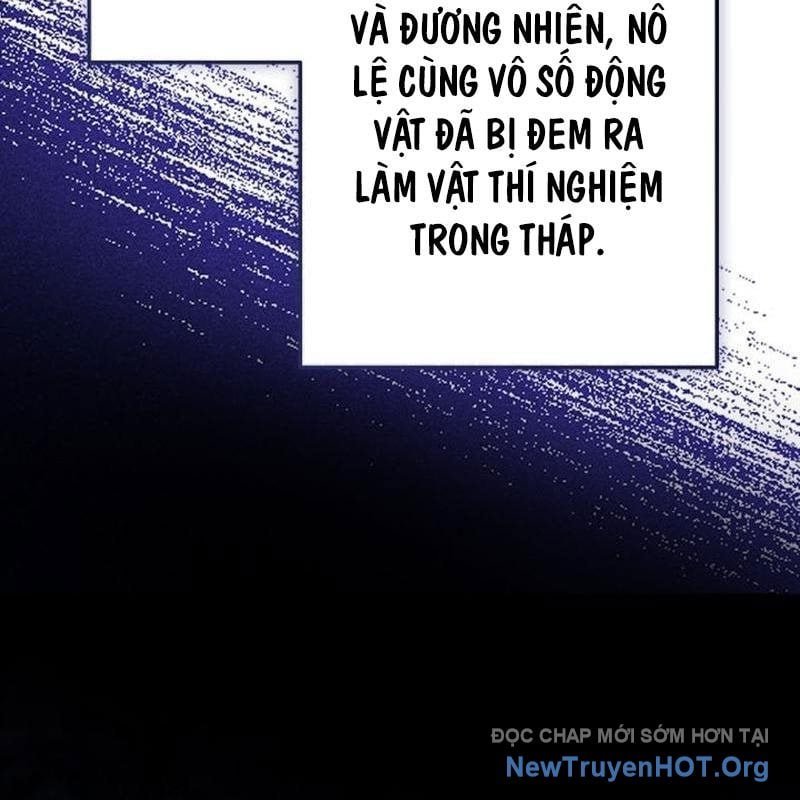 Sự Ra Đời Của Một Anh Hùng Chapter 156 - Trang 2