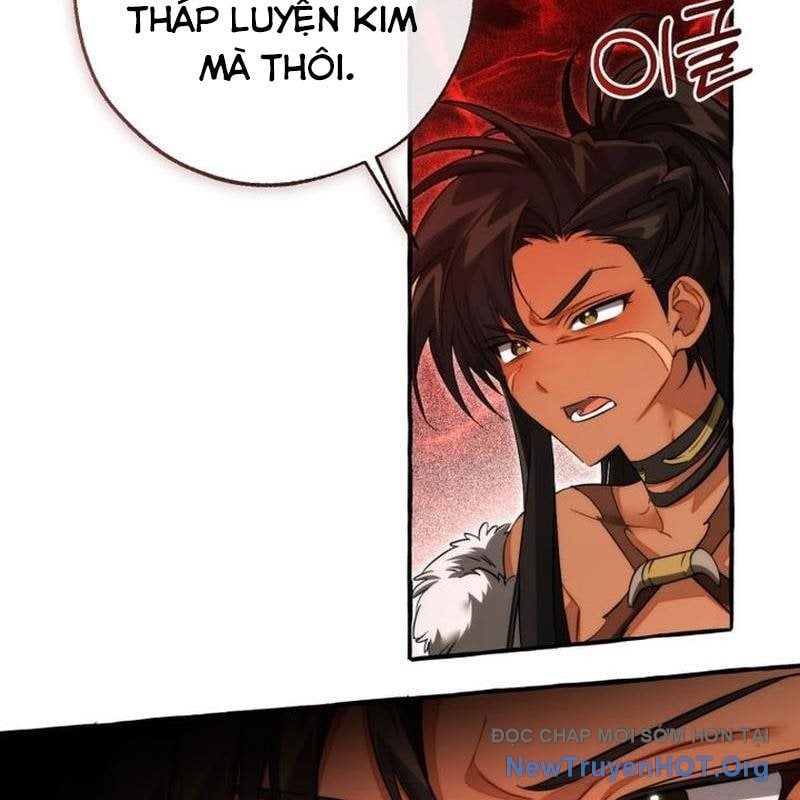 Sự Ra Đời Của Một Anh Hùng Chapter 156 - Trang 2