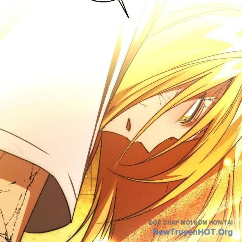 Sự Ra Đời Của Một Anh Hùng Chapter 156 - Trang 2