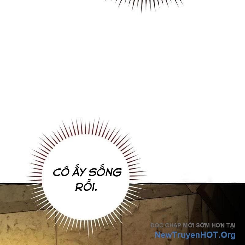 Sự Ra Đời Của Một Anh Hùng Chapter 156 - Trang 2