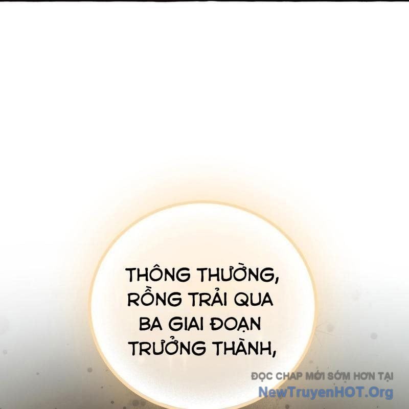 Sự Ra Đời Của Một Anh Hùng Chapter 157 - Trang 2