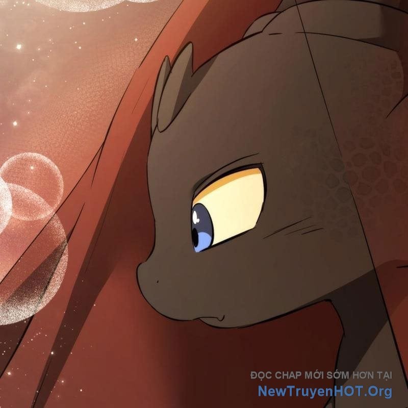 Sự Ra Đời Của Một Anh Hùng Chapter 157 - Trang 2