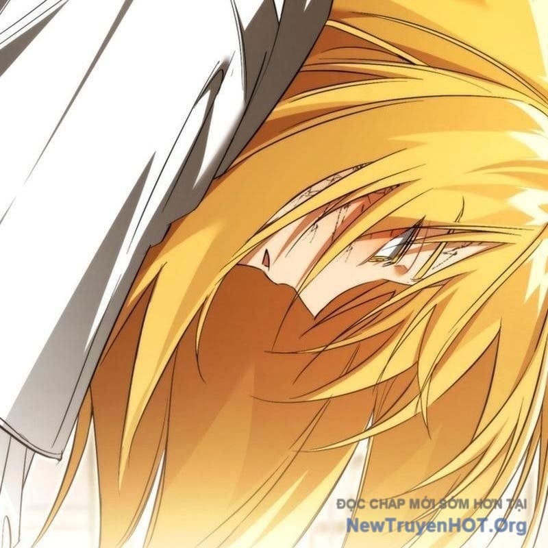 Sự Ra Đời Của Một Anh Hùng Chapter 157 - Trang 2