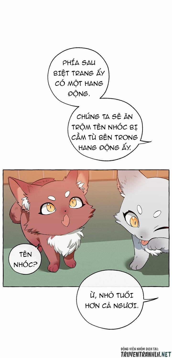 Sự Ra Đời Của Một Anh Hùng Chapter 16 - Trang 2