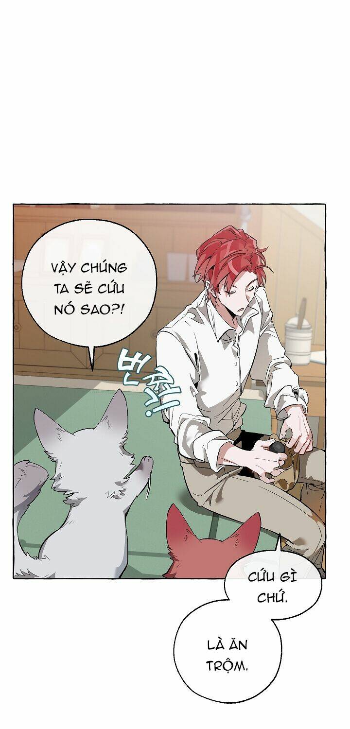 Sự Ra Đời Của Một Anh Hùng Chapter 16 - Trang 2