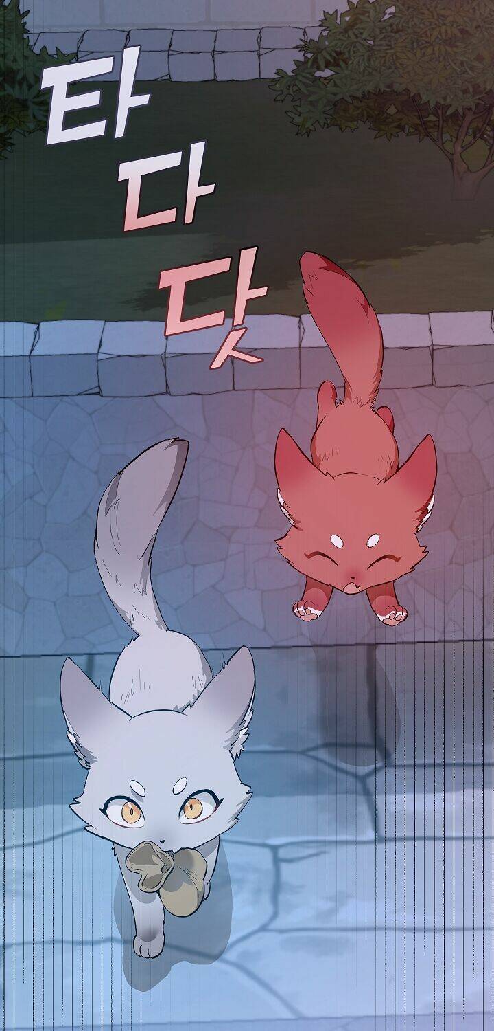 Sự Ra Đời Của Một Anh Hùng Chapter 16 - Trang 2