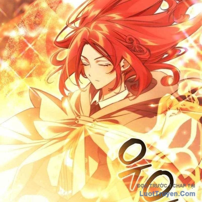 Sự Ra Đời Của Một Anh Hùng Chapter 165 - Trang 2