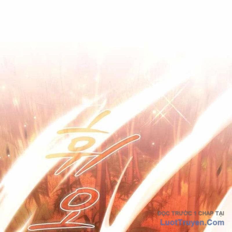 Sự Ra Đời Của Một Anh Hùng Chapter 165 - Trang 2