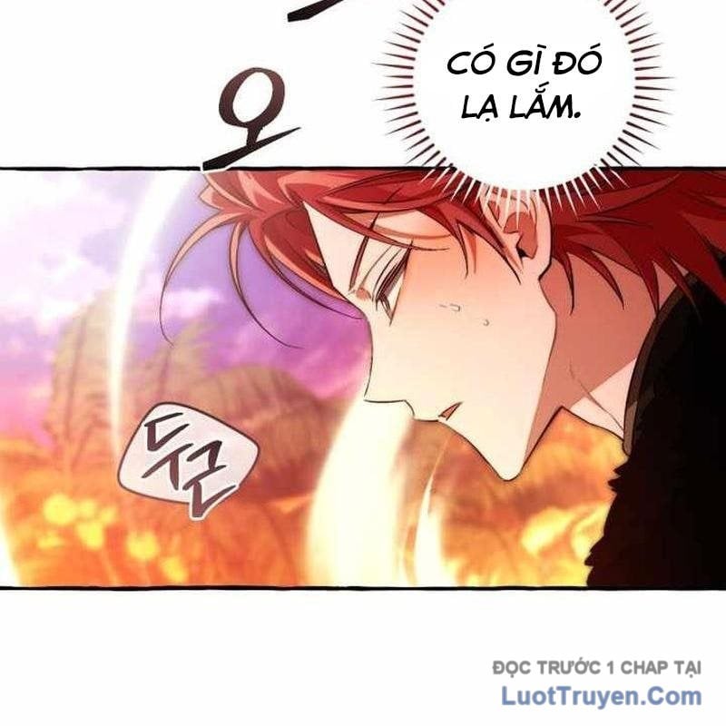 Sự Ra Đời Của Một Anh Hùng Chapter 165 - Trang 2