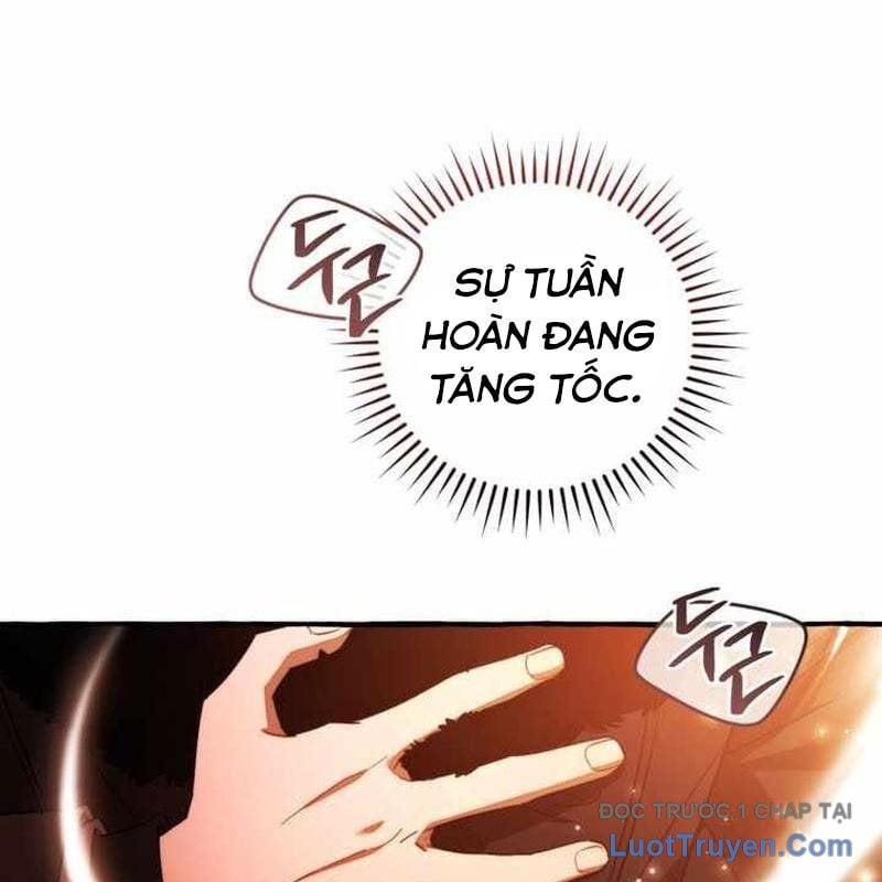 Sự Ra Đời Của Một Anh Hùng Chapter 165 - Trang 2