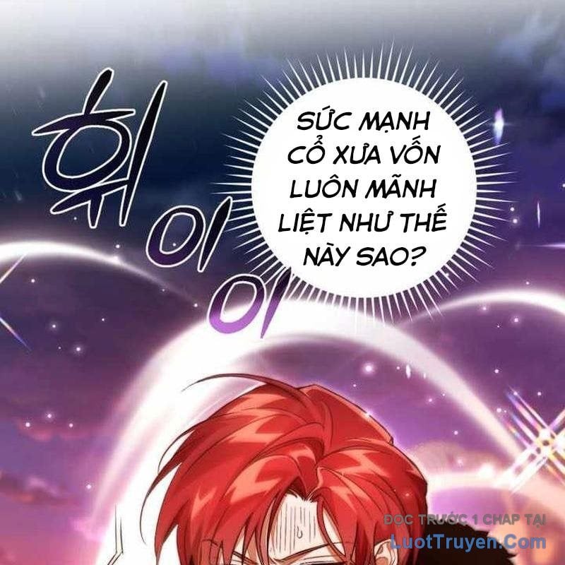Sự Ra Đời Của Một Anh Hùng Chapter 165 - Trang 2