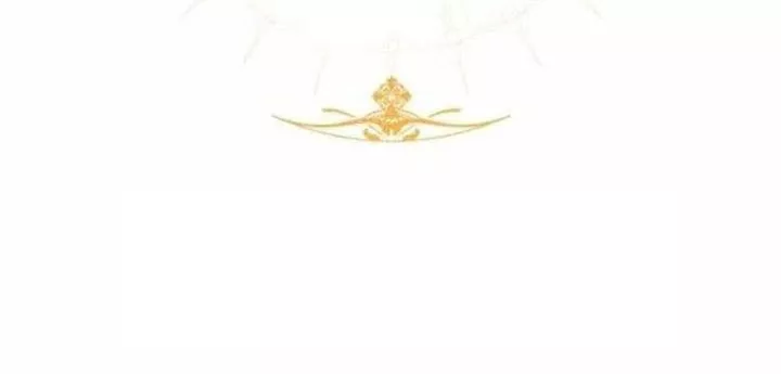 Sự Ra Đời Của Một Anh Hùng Chapter 166 - Trang 2