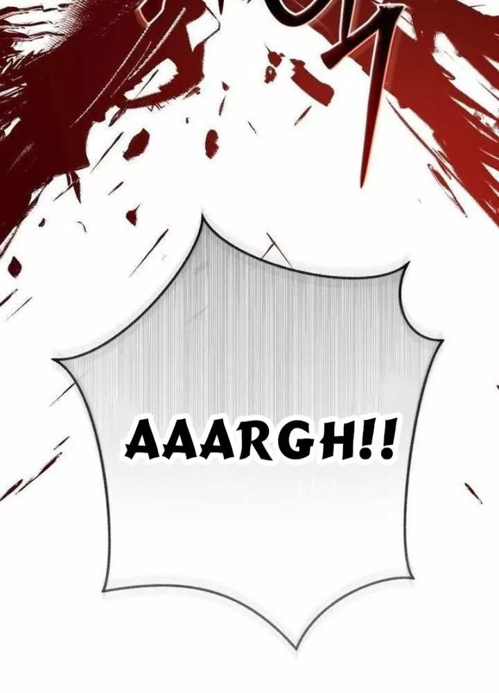 Sự Ra Đời Của Một Anh Hùng Chapter 166 - Trang 2