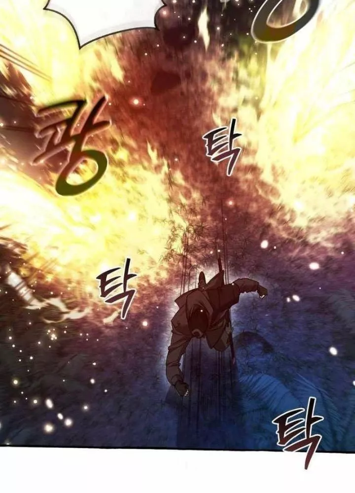 Sự Ra Đời Của Một Anh Hùng Chapter 166 - Trang 2