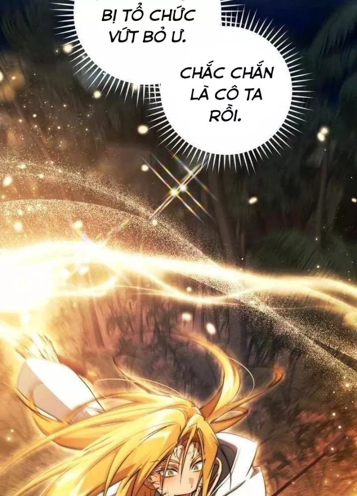 Sự Ra Đời Của Một Anh Hùng Chapter 166 - Trang 2