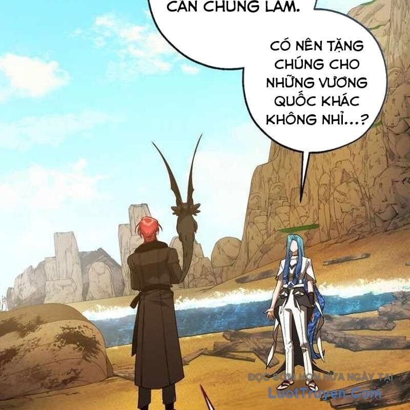 Sự Ra Đời Của Một Anh Hùng Chapter 167 - Trang 2