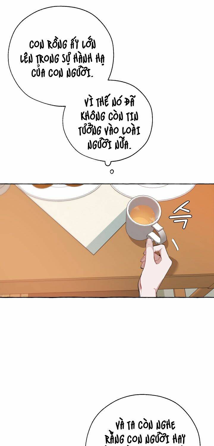 Sự Ra Đời Của Một Anh Hùng Chapter 17 - Trang 2