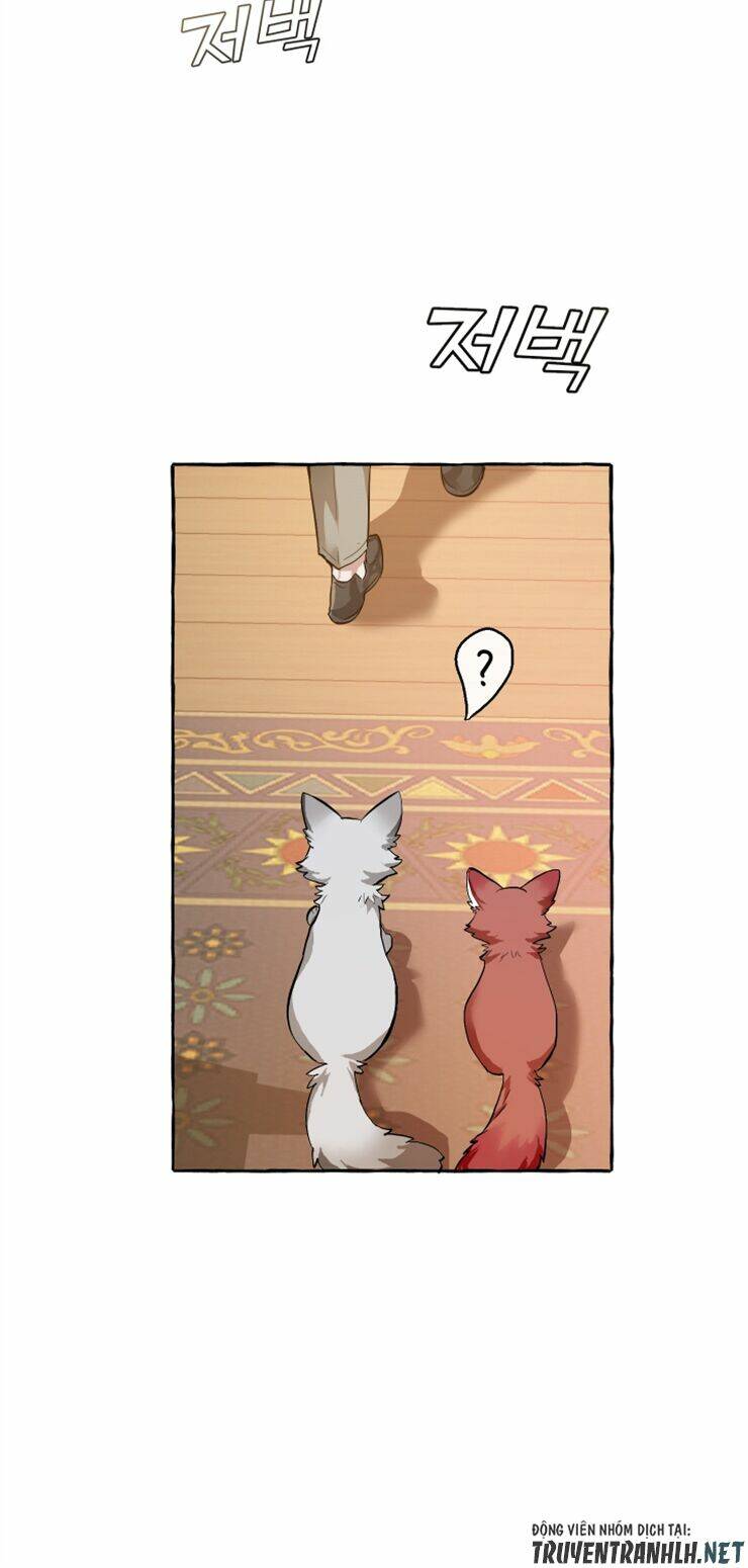 Sự Ra Đời Của Một Anh Hùng Chapter 23 - Trang 2