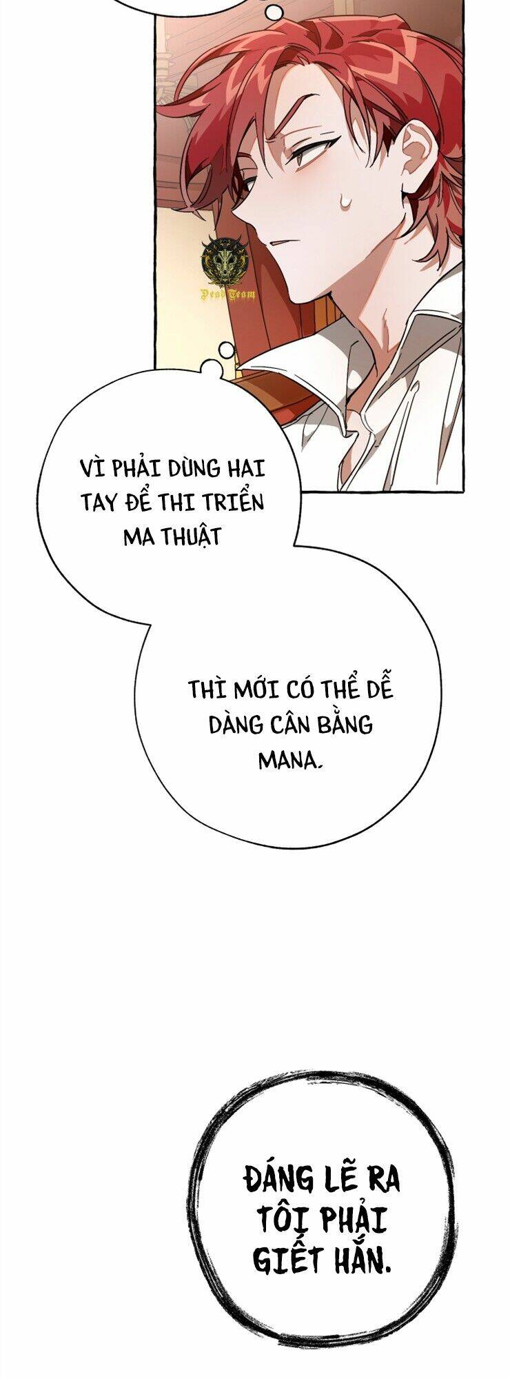 Sự Ra Đời Của Một Anh Hùng Chapter 59 - Trang 2