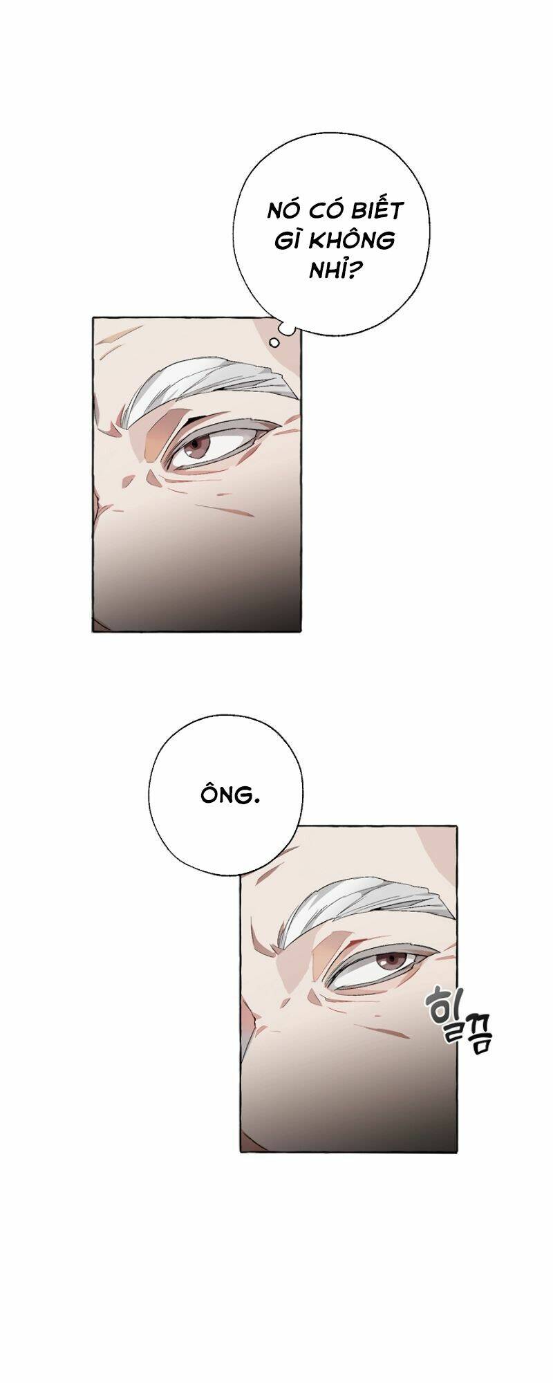 Sự Ra Đời Của Một Anh Hùng Chapter 6 - Trang 2