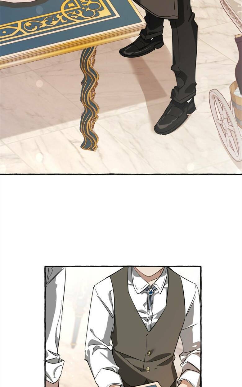 Sự Ra Đời Của Một Anh Hùng Chapter 66 - Trang 2