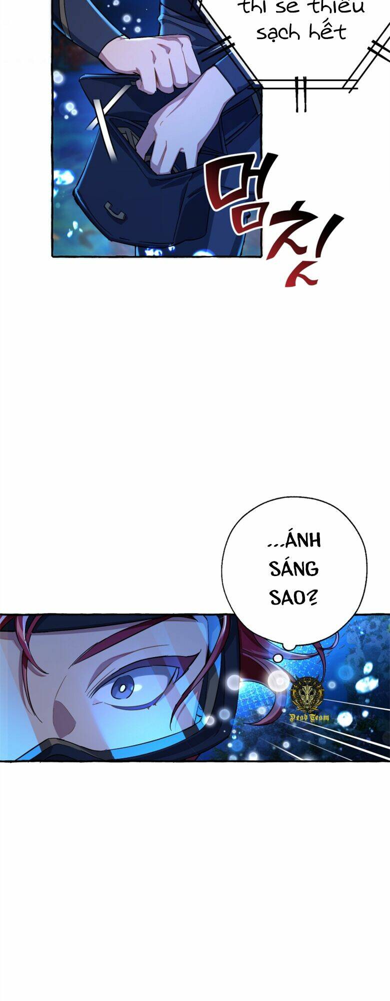 Sự Ra Đời Của Một Anh Hùng Chapter 70 - Trang 2