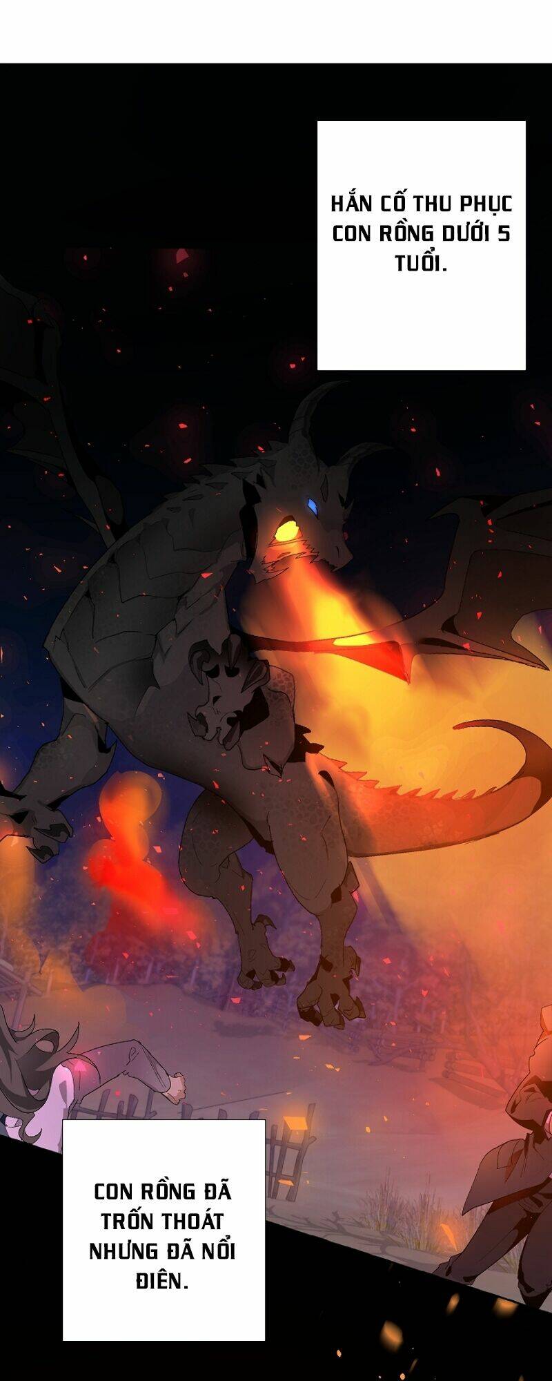 Sự Ra Đời Của Một Anh Hùng Chapter 8 - Trang 2