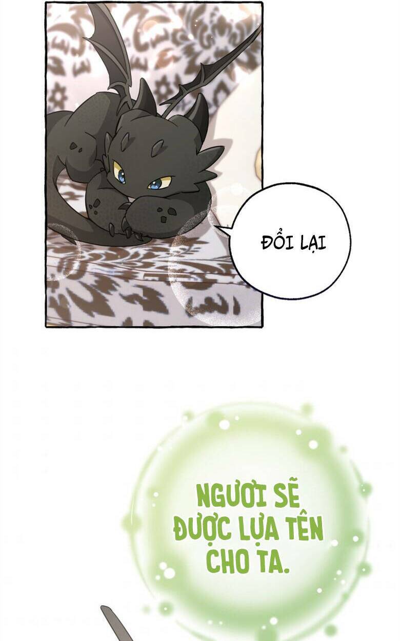 Sự Ra Đời Của Một Anh Hùng Chapter 82 - Trang 2