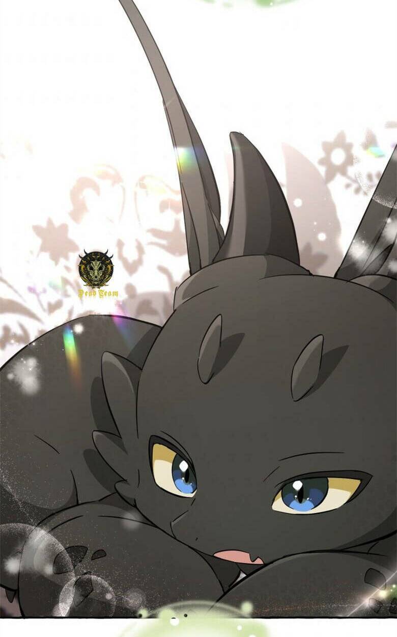 Sự Ra Đời Của Một Anh Hùng Chapter 82 - Trang 2