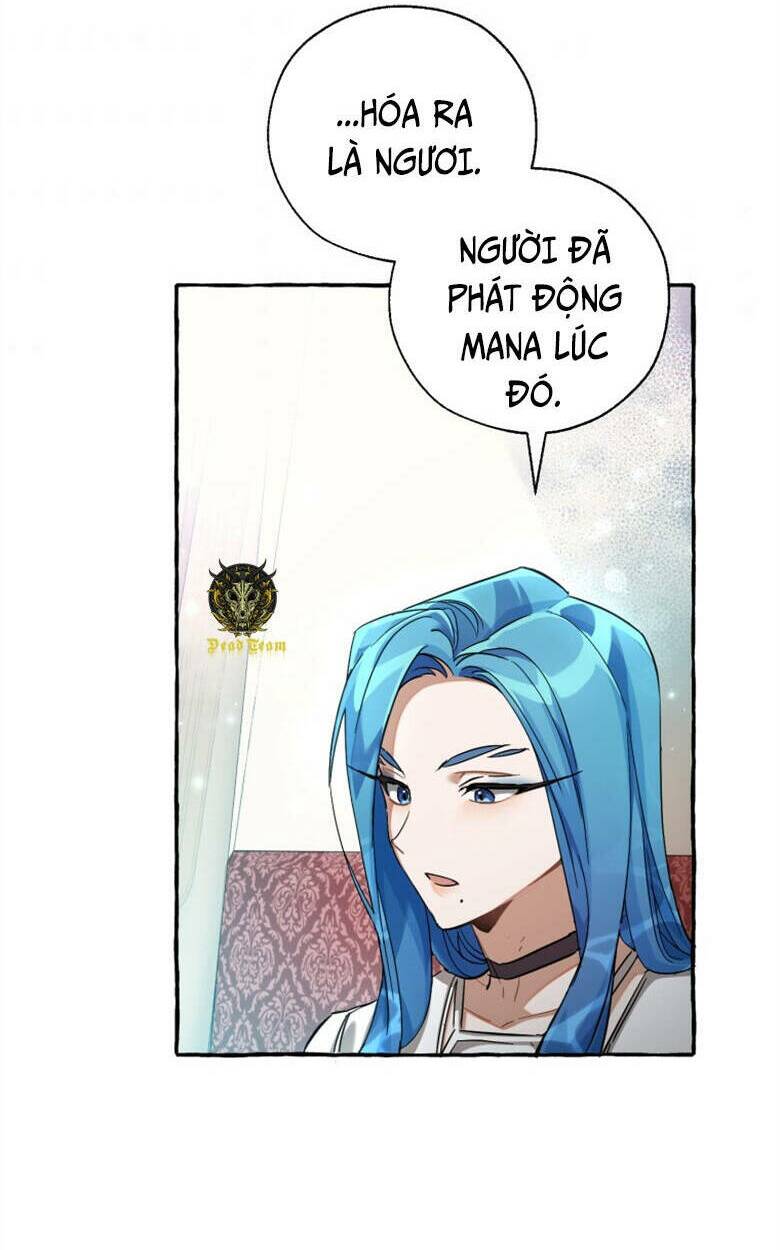 Sự Ra Đời Của Một Anh Hùng Chapter 82 - Trang 2