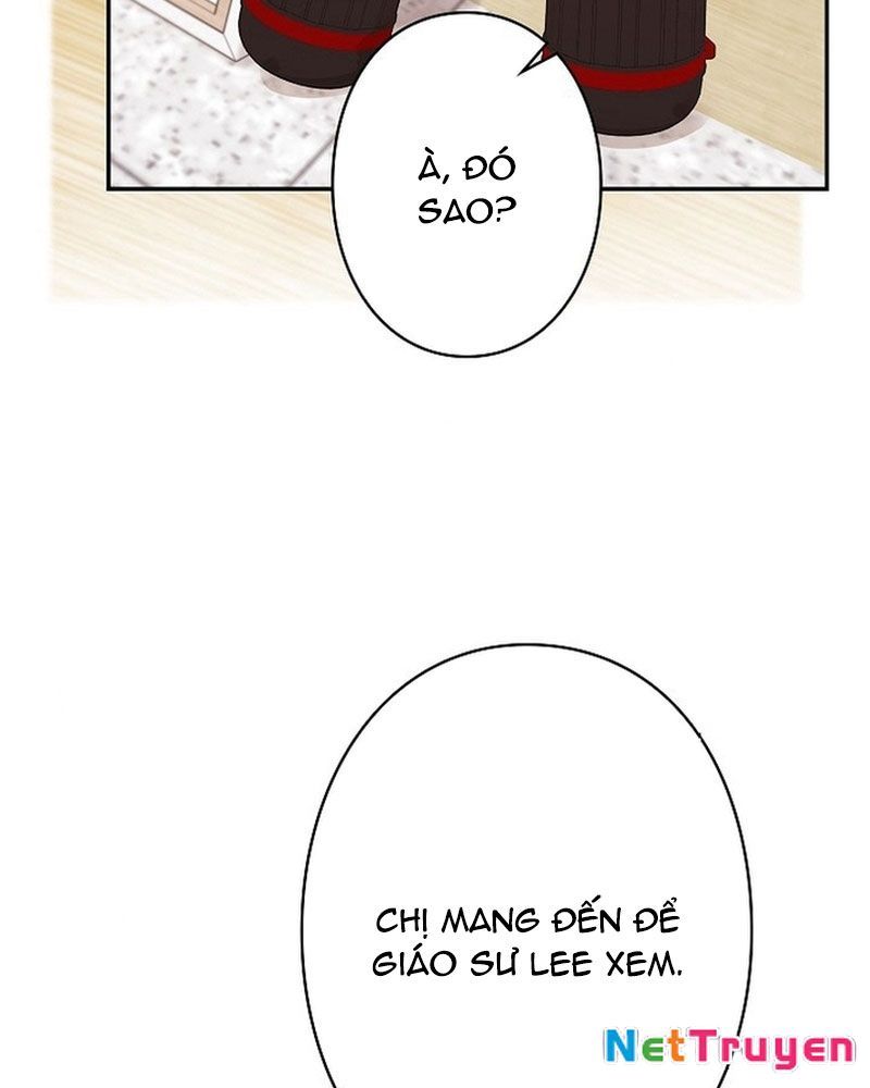 Sự Tái Sinh Của Nhà Thiết Kế Tài Ba Chapter 23 - Trang 2