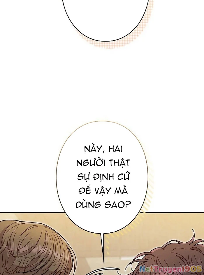 Sự Tái Sinh Của Nhà Thiết Kế Tài Ba Chapter 24 - Trang 2