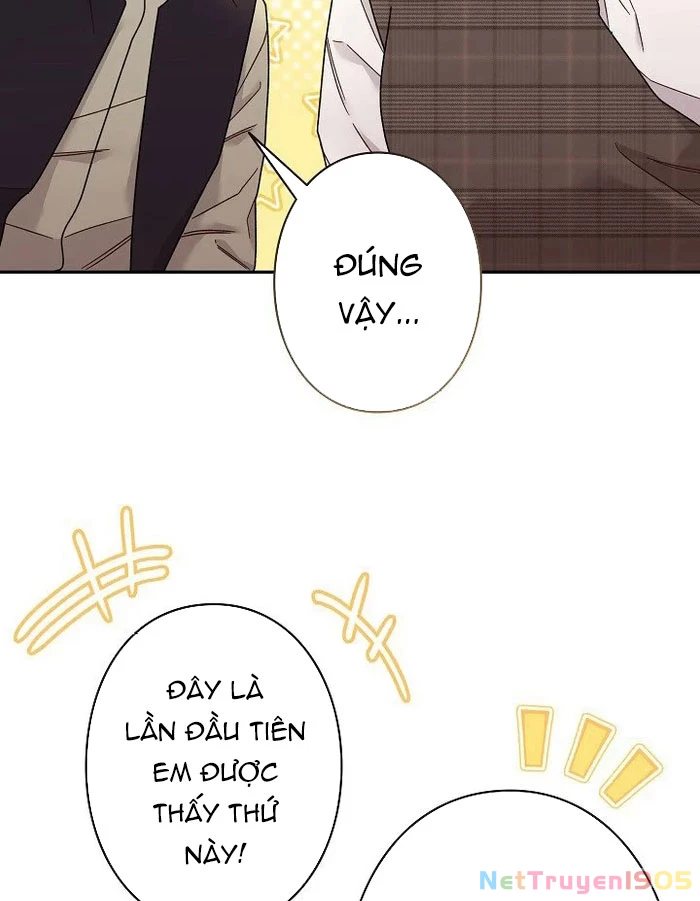 Sự Tái Sinh Của Nhà Thiết Kế Tài Ba Chapter 24 - Trang 2